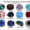 merrylittledove avatar