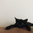 merryygoround avatar