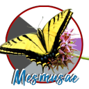 mesmusae avatar