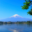 message-from-kyoto-japan avatar