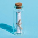 messageinabottle5 avatar