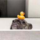 messedupkiddo avatar