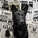 messers-moony avatar