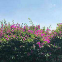 messy-life-messy-heart avatar