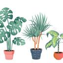 messymaximalist avatar