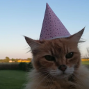 messymindmessydash avatar