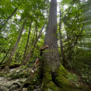 messymoonchild avatar