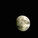 meta-noi-a-777 avatar