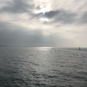 meta4metaphor avatar