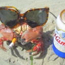 metaerperson27plus63 avatar