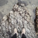 metal-and-dust avatar