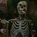 metamorfossiss avatar