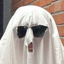 metaphorical-room-crosser avatar