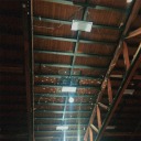 metaphoricalworm avatar