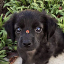 metaphoriqally avatar