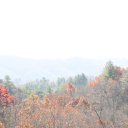 metaphysiquote avatar