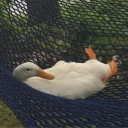 metatthemountain avatar