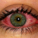 metawhorically avatar