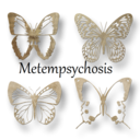 metempsychosisis avatar