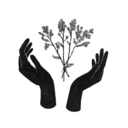 meteorologica avatar