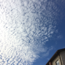 meteorology-mike avatar