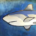 meteorshcwers avatar