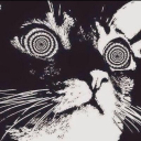 methadonepr3tty avatar