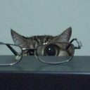 meticulouslymune avatar