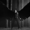 metsik-haigus avatar