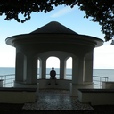 metsviirastus avatar