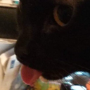 mettalovesmetta avatar