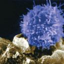 meulcerativecolitisandibd avatar