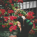 meupoemadomundo avatar