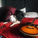 mevasaechardemenos avatar