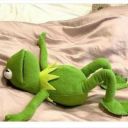 mevsimlerbizkoksun avatar