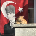 mevsimlerdegisir avatar