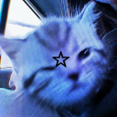 mewixxsblog avatar
