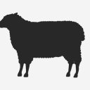mexinsheepskin avatar