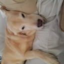 mfrm0687-blog avatar