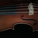 mgheufjsnauek avatar