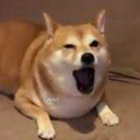 mhmwithasideofmhm avatar