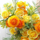 mia-soufi2018 avatar