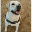 miacayman-blog avatar