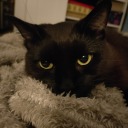 miaintheskywithbubbles avatar