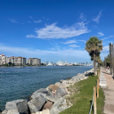 miamiguy305fl avatar