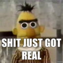 miamivagabond avatar