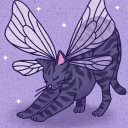 miau-123dmkdmf avatar