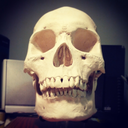 micha-design-blog avatar