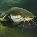 michael--cera avatar