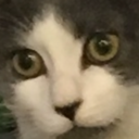 michaelceras-mustache-blog avatar